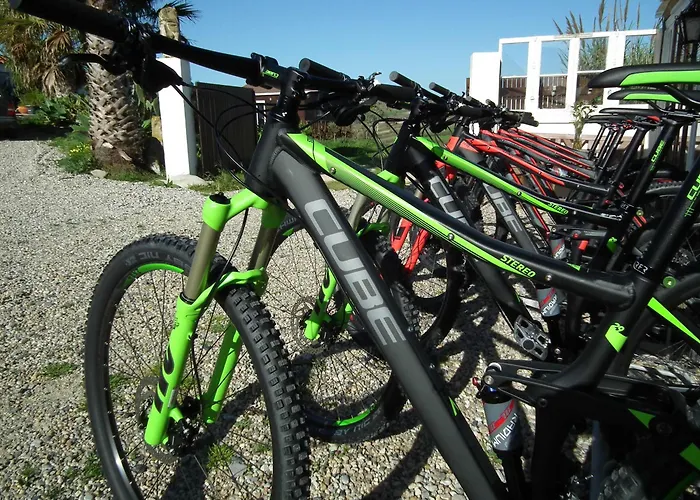 Da Silva Surf Five * 로리냐