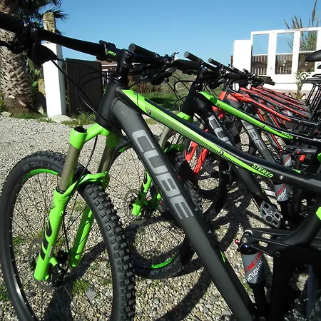 Da Silva Surf Five * Lourinhã